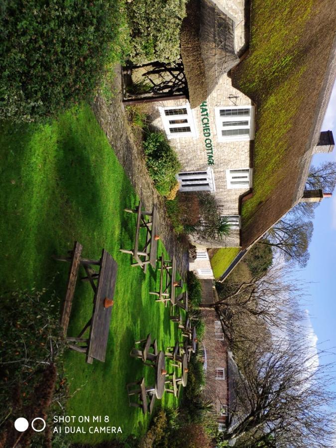Thatched Cottage Shepton Mallet Exterior foto